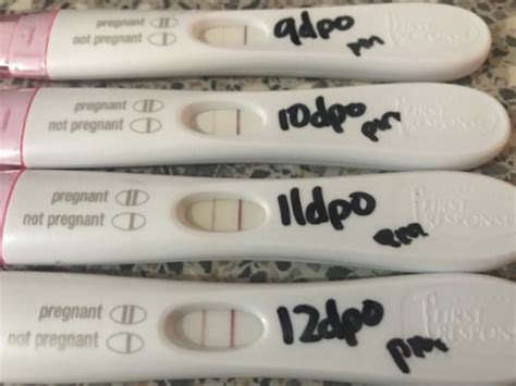 12dpo no symptoms - First, because tracking DPO will help you plan for the best time to take a pregnancy test (typically no sooner than 12 DPO). Second, it can help you monitor and track early symptoms of pregnancy. Pregnancy Symptoms After Ovulation Day by Day Days 1-6 Past Ovulation (1-6 DPO) Ovulation is a crucial moment, as it’s the first day of the TWW.
